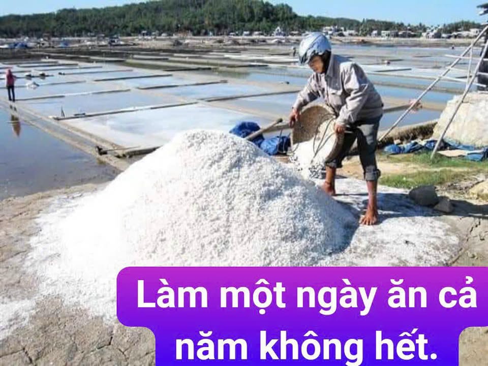 Nhà phố Gò Vấp 56.8m² giá 7.2 tỷ - Đúc 3 lầu, 4 phòng ngủ hiện đại!