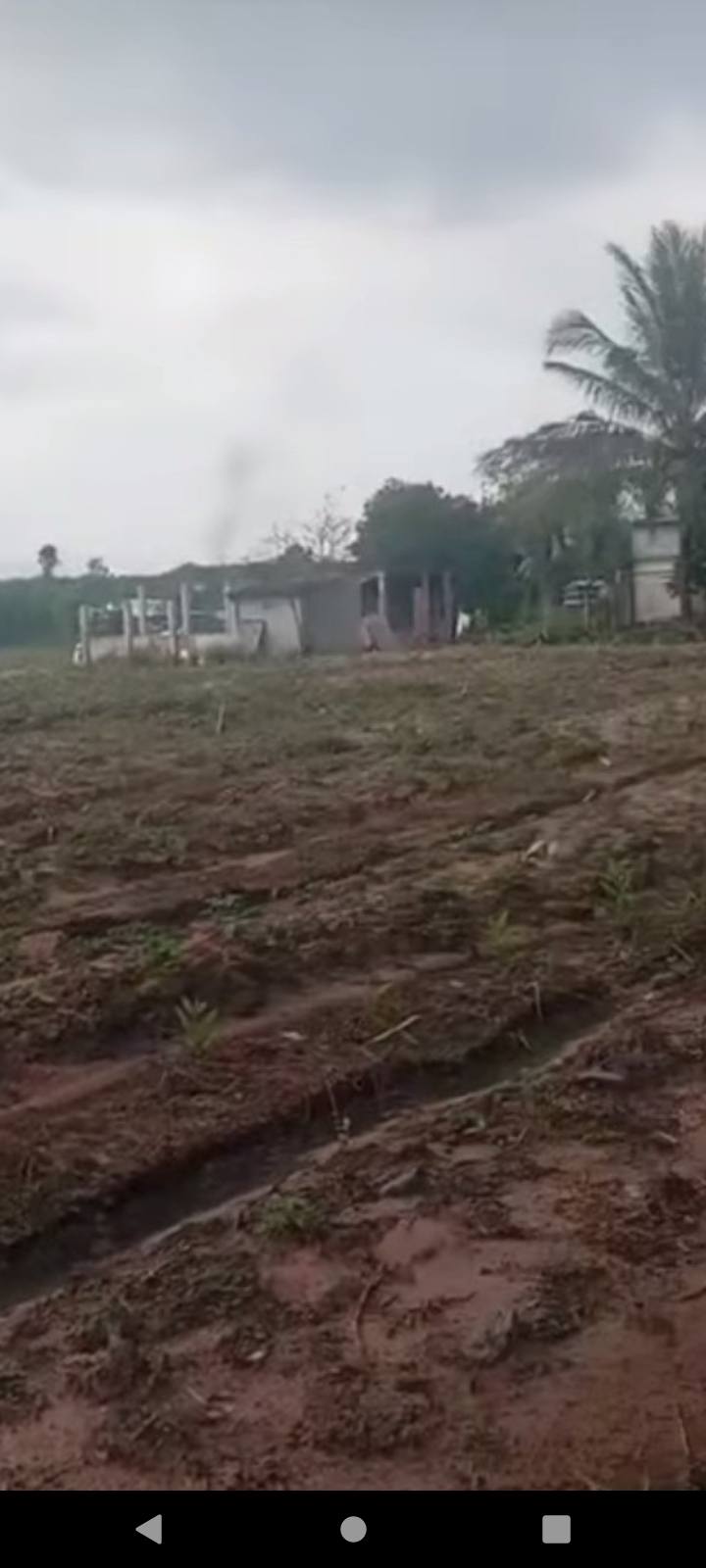 Đất nền 4,5 mẫu xã Xuân Lộc Đồng Nai giá 9,5 tỷ - Cơ hội đầu tư hấp dẫn!