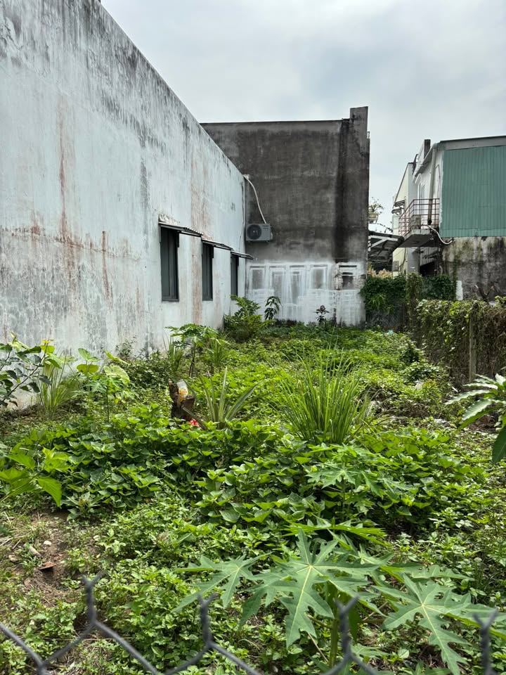 Đất nền Long Hậu, Long An 80m² giá 1.62 tỷ - Đất đẹp, vuông vức, đầu tư sinh lời!