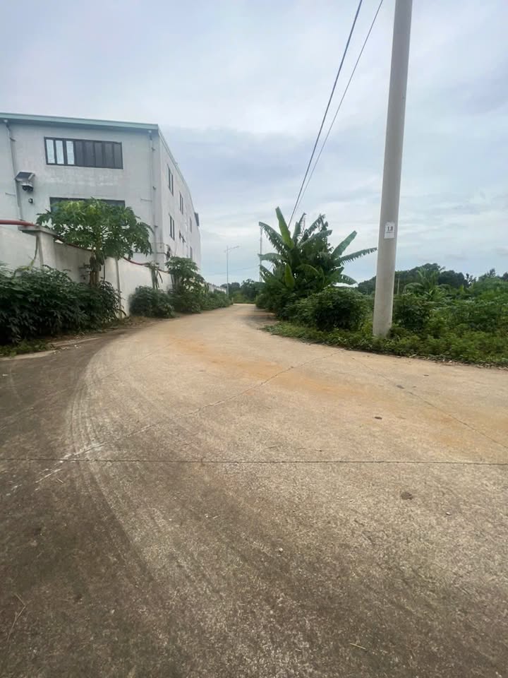 Đất nền thổ cư Đông Sơn, Tam Điệp 90m² - Giá thỏa thuận cực hấp dẫn!