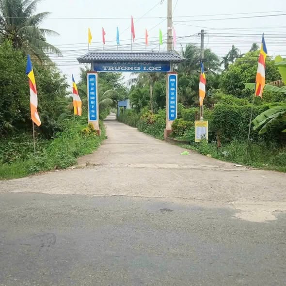 Đất nền 16.000m² tại Trường Khánh Sóc Trăng - Giá chỉ 135 triệu