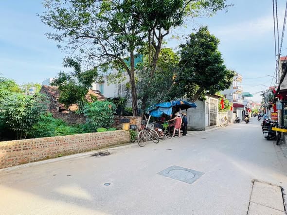 Đất nền Mai Lâm Đông Anh 154m² giá 13.86 tỷ - Đầu tư sinh lời ngay!