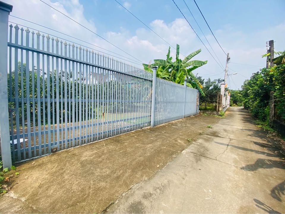 Đất nền vườn bưởi Tân Triều 979m² giá 4.75 tỷ - Cơ hội đầu tư tuyệt vời!