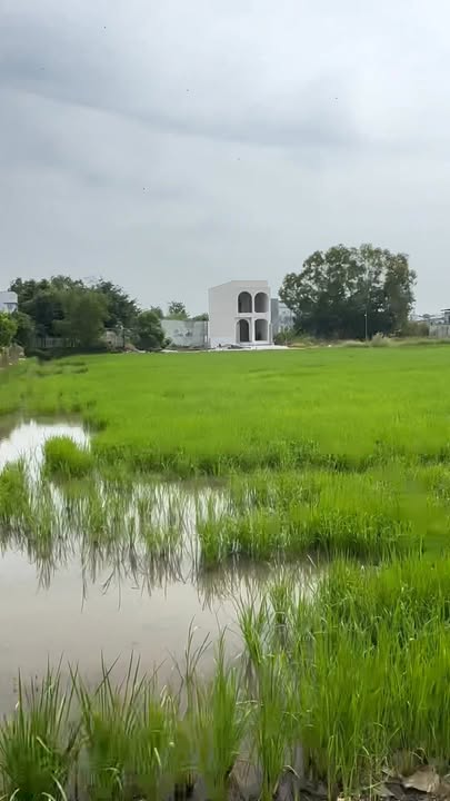 Đất nền Tân Bửu Bến Lức 120m² giá 1.5 tỷ - Đường xe hơi vào tận nơi!