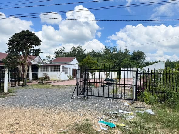 Đất 2 mặt tiền đường nhựa Ấp Tân Trung 1.403m² giá 6.486 tỷ - Kinh doanh thuận lợi!