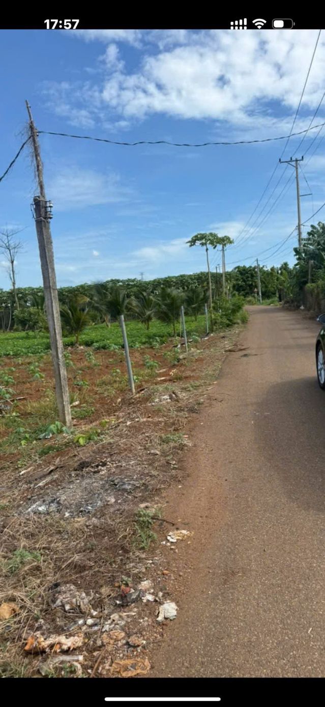 Đất thổ cư mặt tiền Đường Đá Bạc, Châu Đức 1400m² giá 1.35 tỷ - Phong thủy tốt, vị trí đẹp!