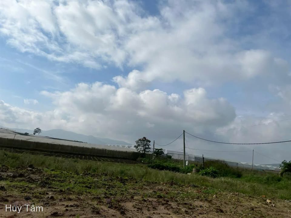 Đất nền Quảng Lập 145m² giá 430 triệu - Cơ hội an cư lý tưởng!