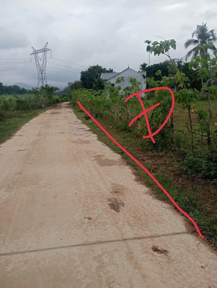 Đất thổ cư 202m² tại Thạch Quảng, Thạch Thành - Cơ hội đầu tư tuyệt vời chỉ 100 triệu!