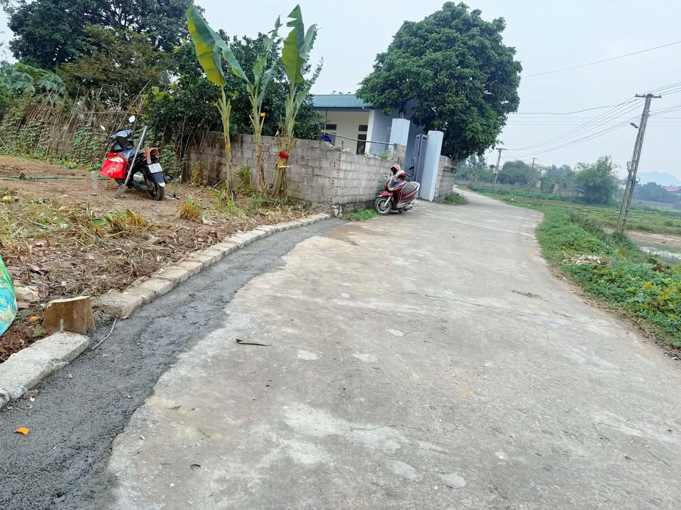 Đất nền Thanh Cao Lương Sơn 386m² giá 1.55 tỷ - Đường lớn giao thông thuận lợi!