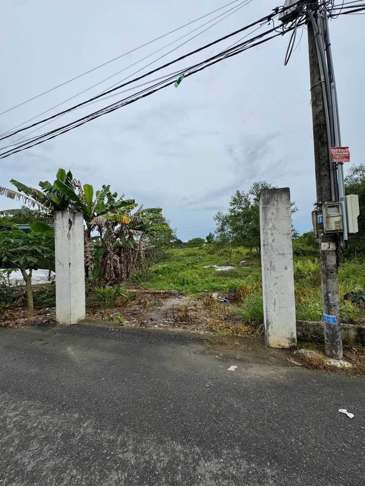 Đất nền Giang Điền Trảng Bom 2579m² giá 5.5 tỷ - Tiềm năng phát triển cao!