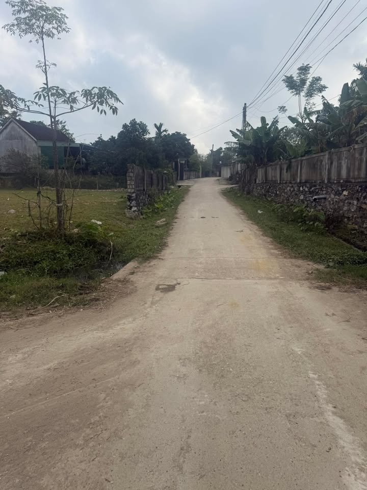 Đất nền Thạch Sơn 250m² giá tốt - Đầu tư sinh lời ngay!