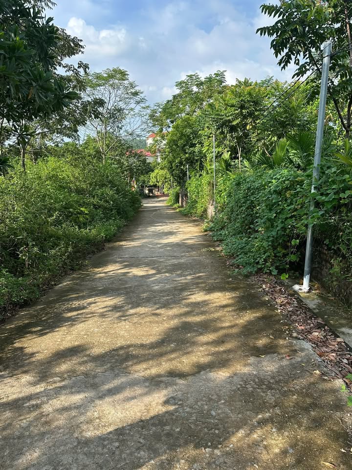 Đất nền Hiền Quan, Tam Nông 200m² - Vị trí đắc địa, giao thông thuận lợi!