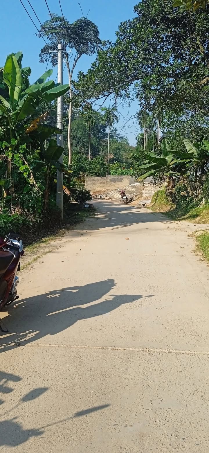 Đất thổ cư Tuy Lộc 64m² giá chỉ 390 triệu - Cơ hội đầu tư tuyệt vời!