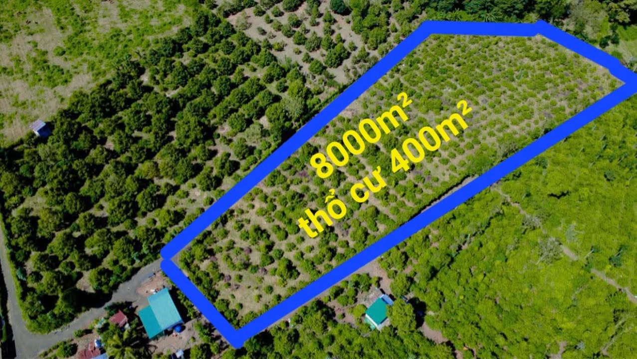 Đất thổ cư Ea Tar Cư M'gar Đắk Lắk 8 sào - Đầu tư xanh hiệu quả!