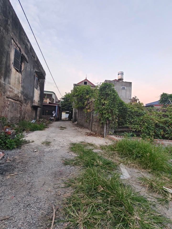 Đất nền Phù Liễn Kiến An 100m² giá 1 tỷ - Ngõ ô tô, chia lô dễ dàng!