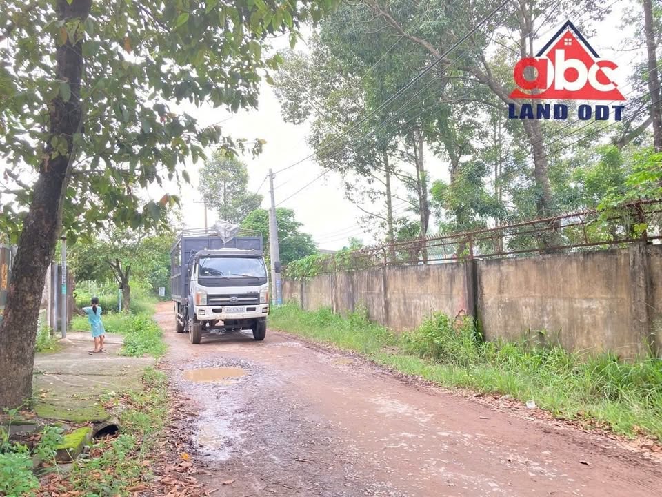 Đất nền Trảng Bom 12.000m² giá 2 triệu/m² - Cơ hội vàng đầu tư!