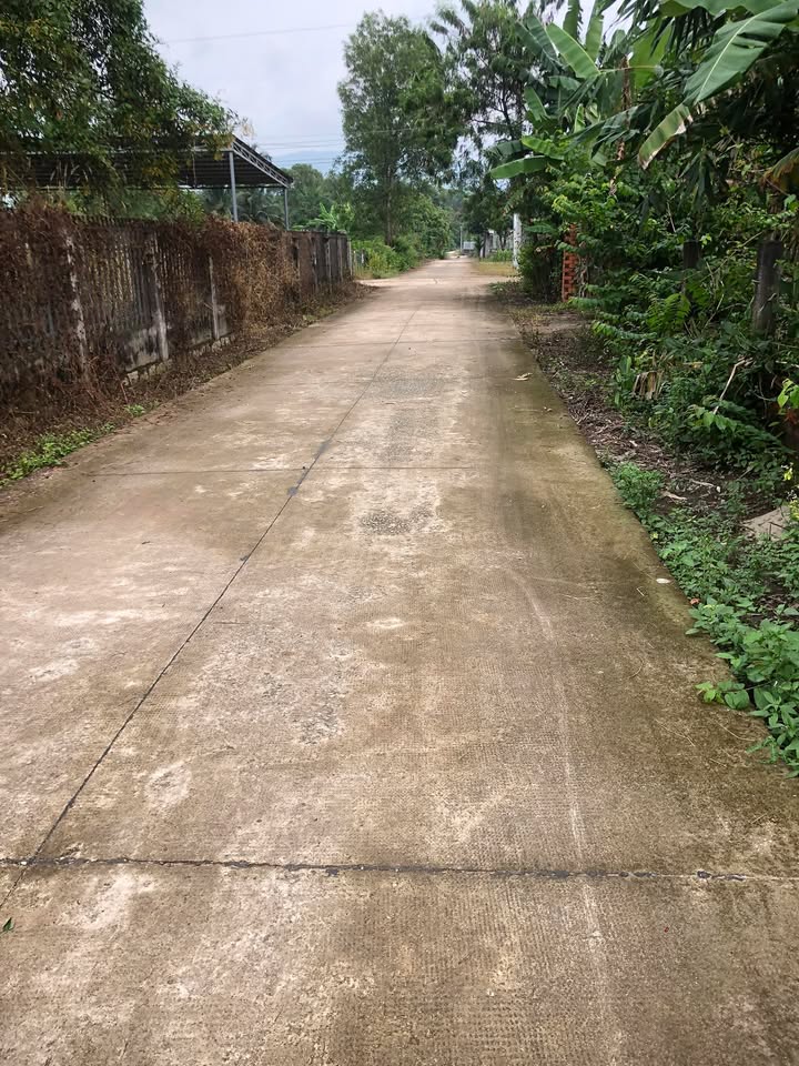 Đất thổ cư Tân Nghĩa Hàm Tân 700m² giá 1.2 tỷ - Mặt tiền đường bê tông rộng rãi!