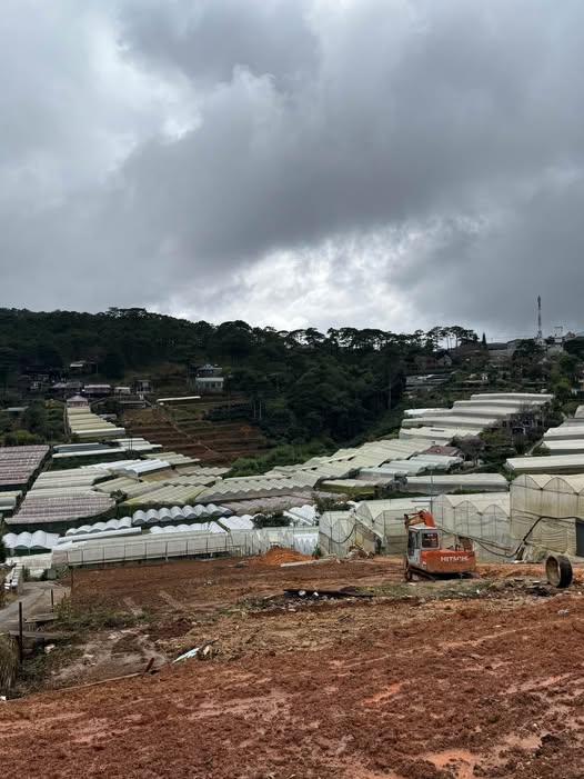 Lô đất Trịnh Hoài Đức Đà Lạt 211m² giá 7 tỷ - Đầu tư sinh lời ngay!