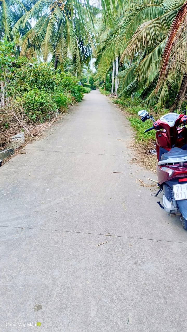 Đất nền An Điền Lớn 1,6 công giá chỉ 600 triệu - Cơ hội đầu tư tuyệt vời!