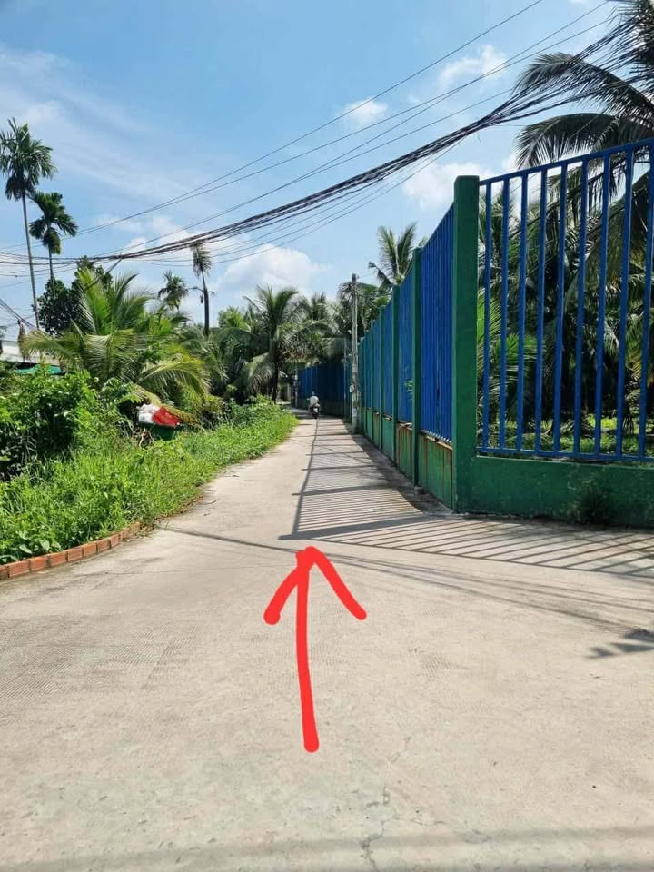 Đất nền Phú Tân Bến Tre 118,7m² giá 550 triệu - Cơ hội đầu tư tuyệt vời!