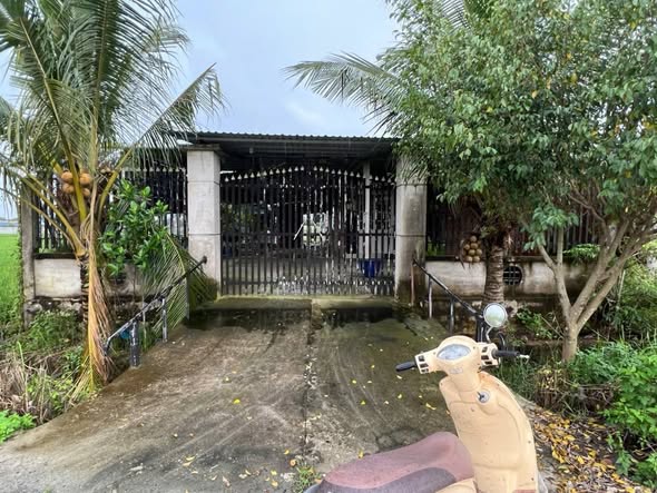 Đất nông nghiệp 818m² Mỹ Hạnh Bắc, Đức Hòa - Giá chỉ 1.65 tỷ, thương lượng!