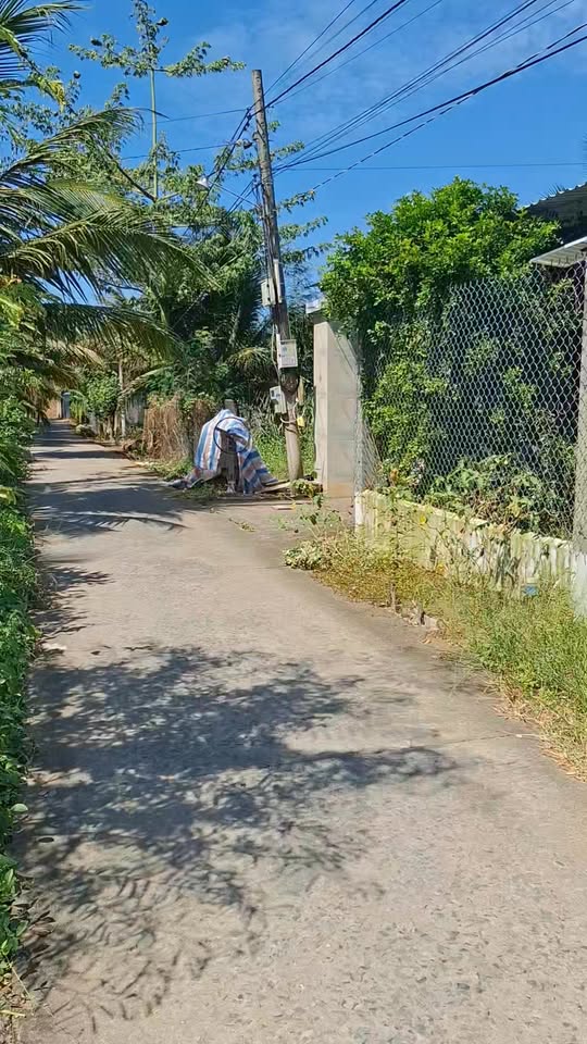 Bán đất An Thạnh Thủy 162m² giá 495 triệu - Cơ hội đầu tư sinh lời!