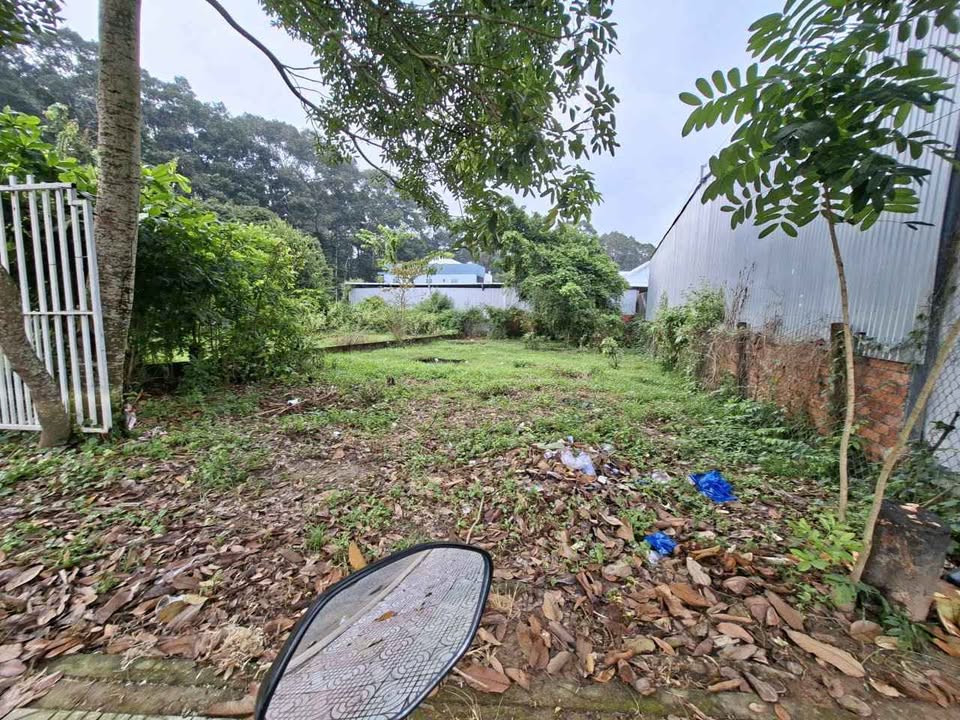 Đất Mặt Tiền Đường Nguyễn Du, Trà Vinh 128m² - Vị trí đẹp cho kinh doanh!