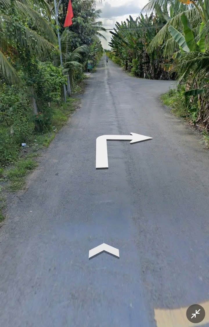 Đất vườn 1499m² tại Phong Phú - Giá chỉ 660 triệu, sẵn sàng đầu tư!