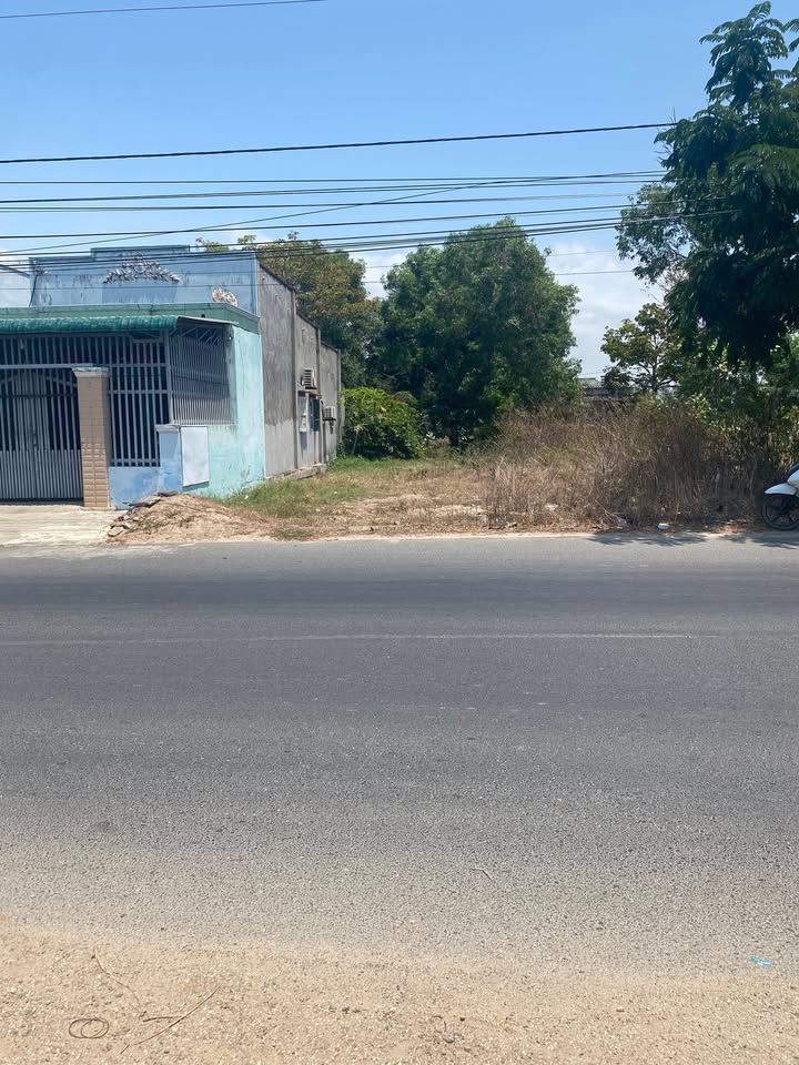 Đất nền Lê Minh Công, La Gi 117m² giá chỉ 1.764 tỷ - Đầu tư sinh lời gần biển!