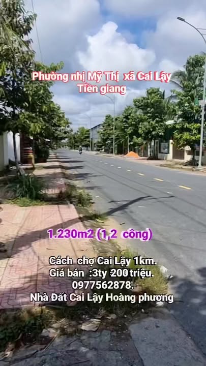 Đất mặt tiền ô tô phường Nhị Mỹ, thị xã Cai Lậy 1271m² - Giá thỏa thuận hấp dẫn!