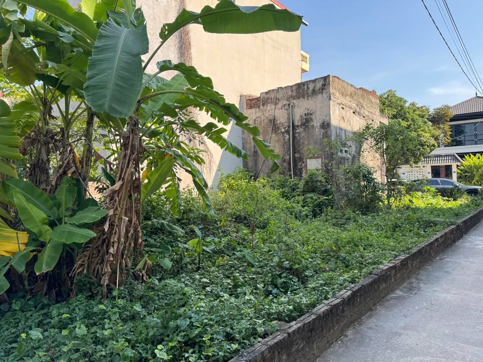 Đất nền Nam Hồng Đông Anh 55m² giá 2.9 tỷ - Tiềm năng tăng giá nhanh!