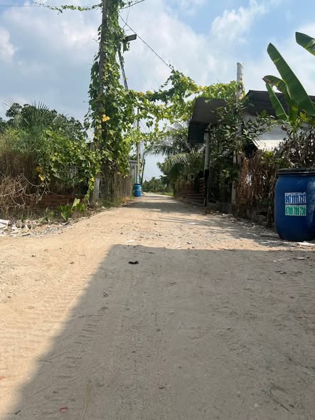 Đất nền Mỹ Hạnh Nam 120m² giá 1.15 tỷ - Sổ hồng riêng, vị trí đắc địa!