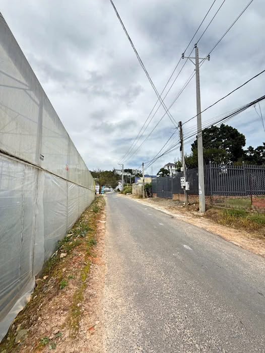 Đất thổ cư mặt tiền Trịnh Hoài Đức, Đà Lạt 211m² giá 7 tỷ - Cơ hội đầu tư lý tưởng!