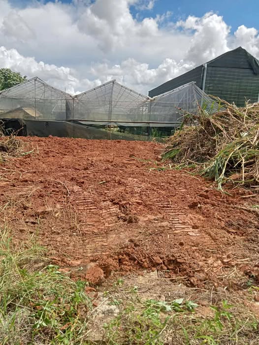 Đất nền đường Nguyên Tử Lực, Đà Lạt 66m² giá 600 triệu - Cơ hội đầu tư hấp dẫn!