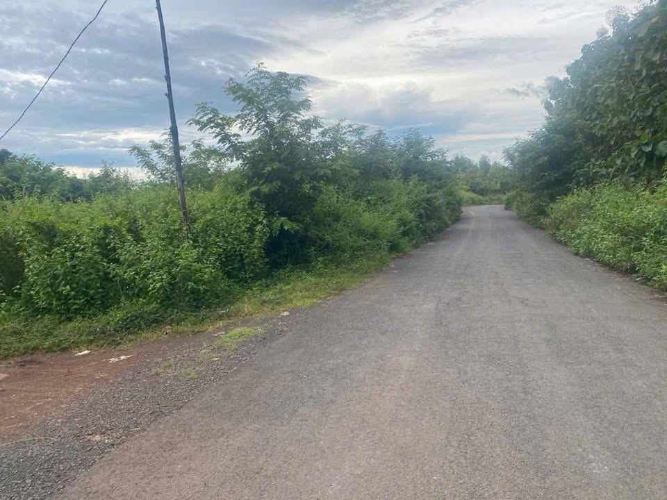 Đất liền kề đường nhựa Quảng Hiệp cũ - 1650m² giá 375 triệu - Cơ hội đầu tư tuyệt vời!