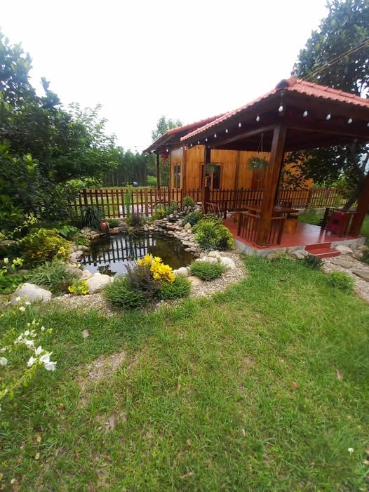 Nhà vườn 464m² Hòa Phú Đà Nẵng giá chỉ 3 tỷ - Không thể bỏ lỡ!