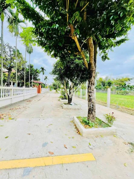 Đất nền Điện Hồng, Điện Bàn 193m² giá 600 triệu - Cơ hội đầu tư hiếm có!