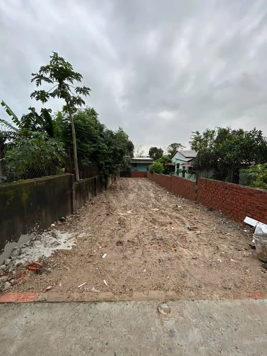 Đất nền Cẩm Lệ Đà Nẵng 125m² giá 2 tỷ - Đầu tư sinh lời ngay lập tức!