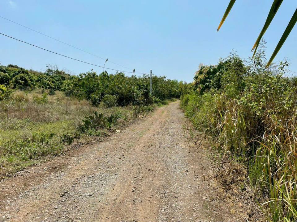 Đất nền La Ngà, Định Quán, Đồng Nai 12.356m² giá 7.5 tỷ - Đường ô tô thuận lợi!