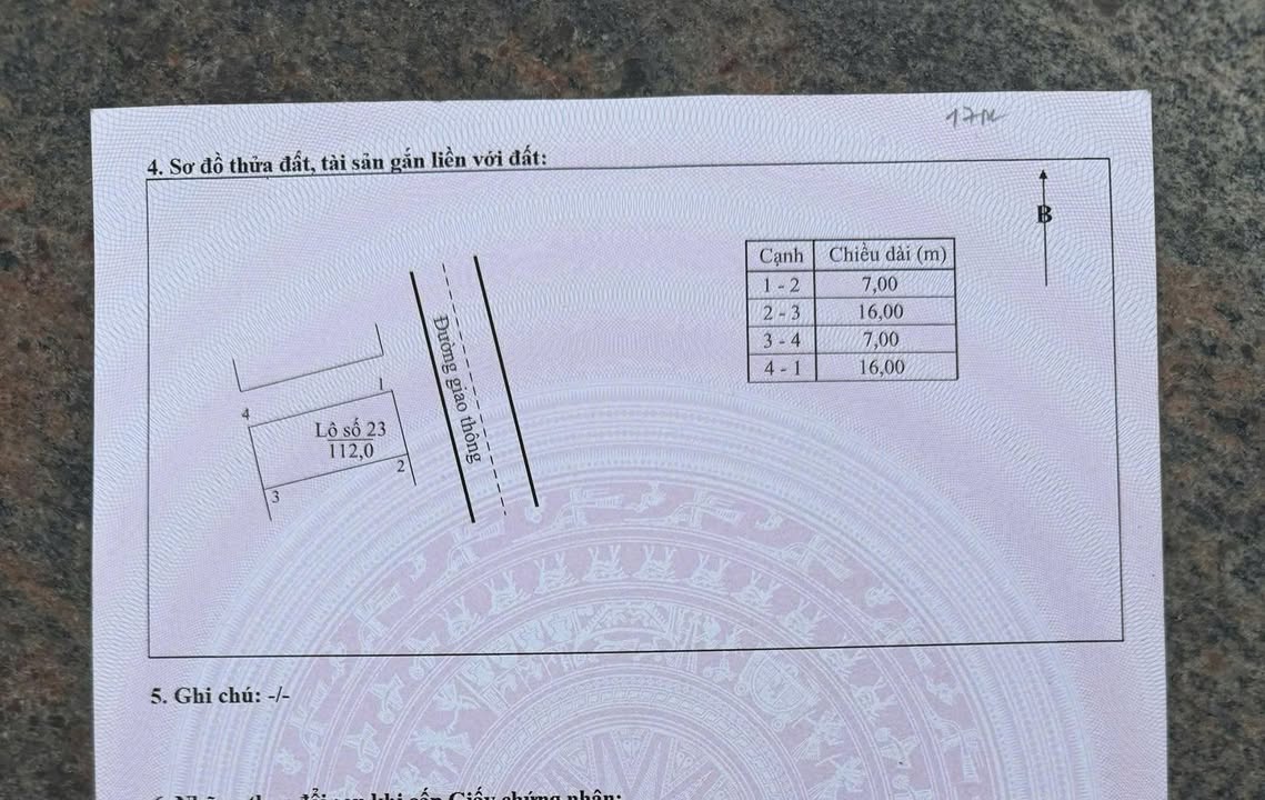 Đất mặt tiền 7m tại xã Quang Thịnh, diện tích 112m² giá 1 tỷ - Cơ hội đầu tư hấp dẫn!