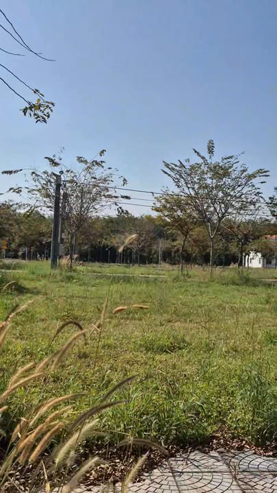 Nhà phố KDC Tài Lộc Bầu Bàng 63m² giá 1.2 tỷ - Chính chủ bán gấp!