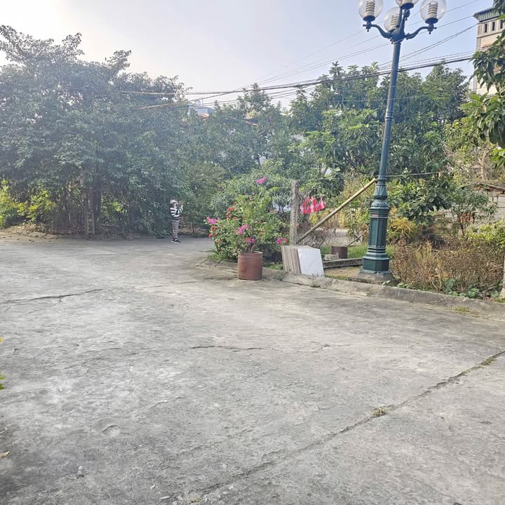 Đất nền Đông Hải, TP Thanh Hóa 63m² giá 2 tỷ - Cơ hội đầu tư tốt!