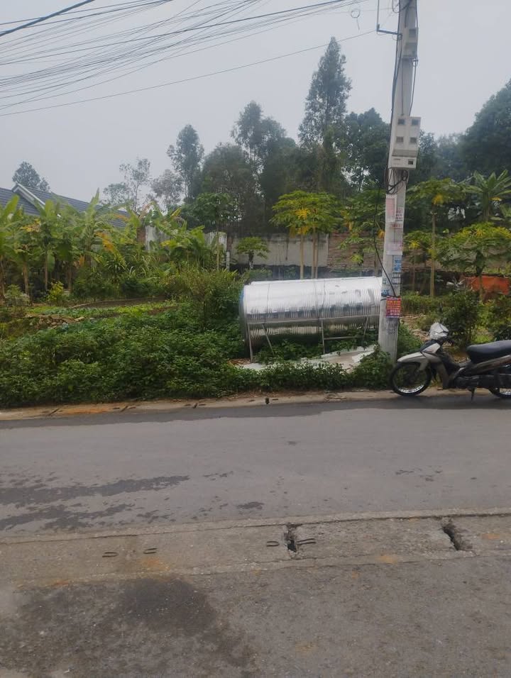 Đất nông trang Vân Cơ, Việt Trì 79m² - Đường rộng ô tô tránh, hướng Nam mát mẻ!