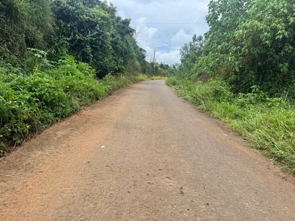 Đất thổ cư + Nhà cấp 4 Lộc Đức 468m² giá 850 triệu - Tiện ích đầy đủ, khu dân cư sầm uất!