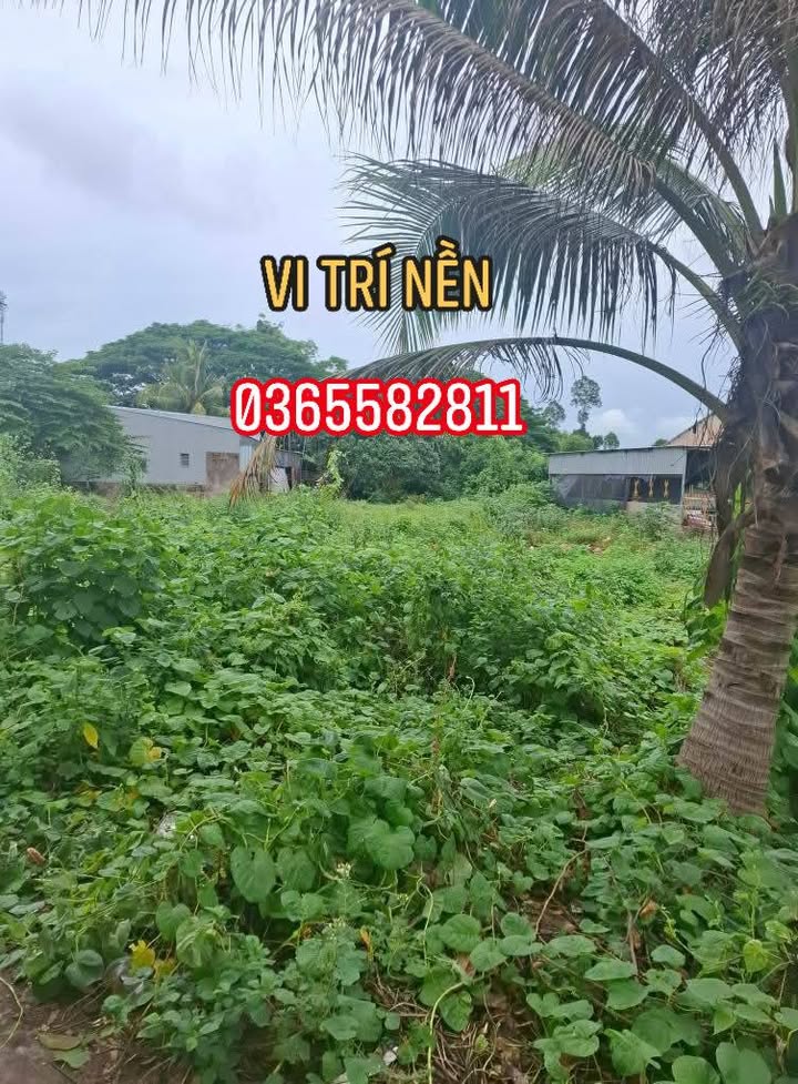 Đất nền Khánh An An Phú 2000m² giá 1.2 tỷ - Pháp lý rõ ràng, thương lượng ngay!