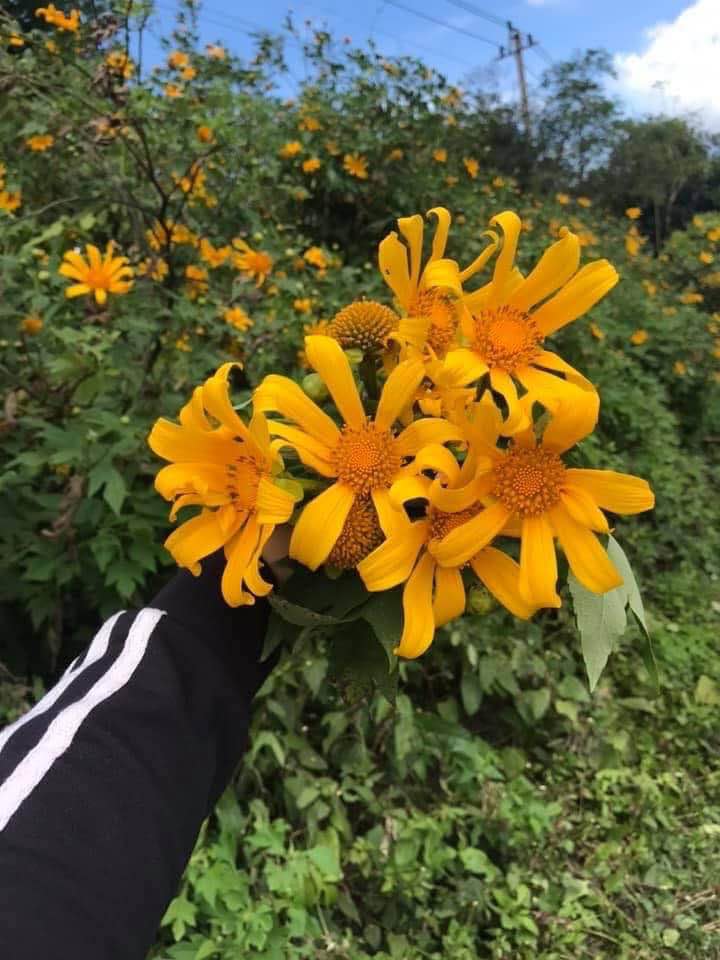 Cho thuê mặt bằng kinh doanh tại Nha Trang 150m² giá 16 triệu - Phù hợp mọi ngành nghề