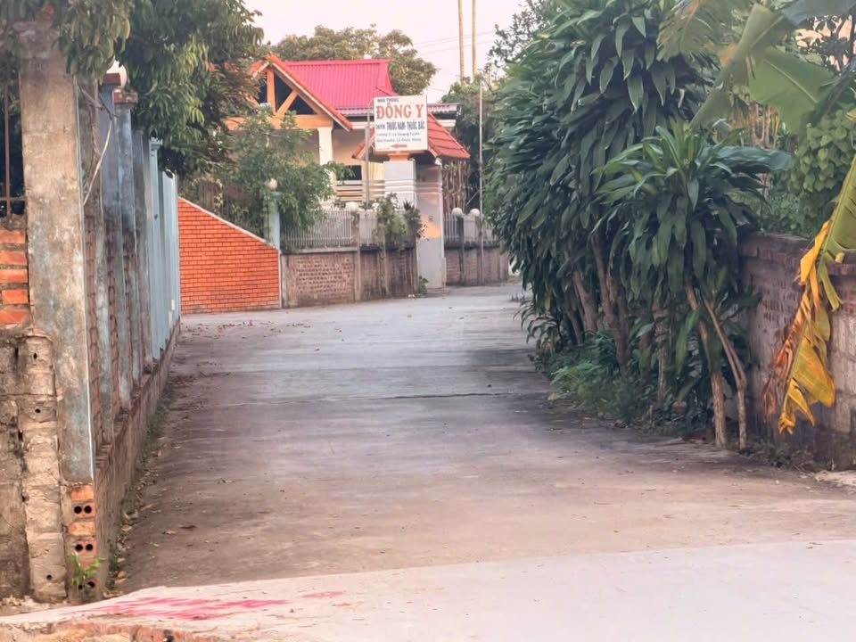 Đất nền Thanh Hồng, Thanh Hà 100m² giá chỉ 599 triệu - Sổ đỏ chính chủ!