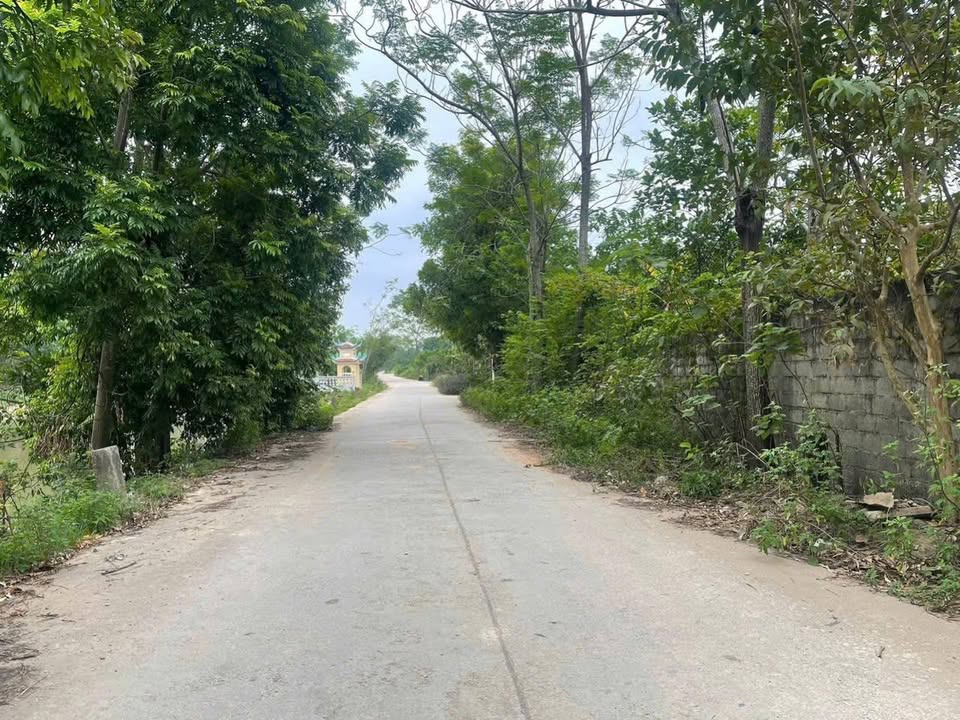 Đất nền tiềm năng tại xã Quảng Bị, Chương Mỹ 425m² - Giá chỉ 1.275 tỷ!