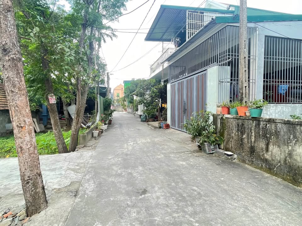 Đất nở hậu 115,9m² đường Phạm Hồng Thái, TP Vinh - Tiềm năng đầu tư lý tưởng!