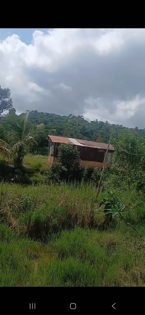 Đất Lộc Phú Bảo Lâm 1.2ha giá 4.32 tỷ - 3 mặt tiền thuận lợi cho đầu tư!